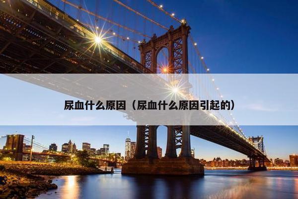 泌尿系