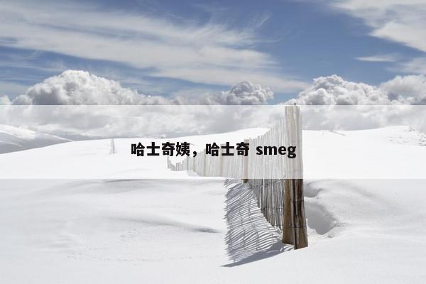 哈士奇姨，哈士奇 smeg