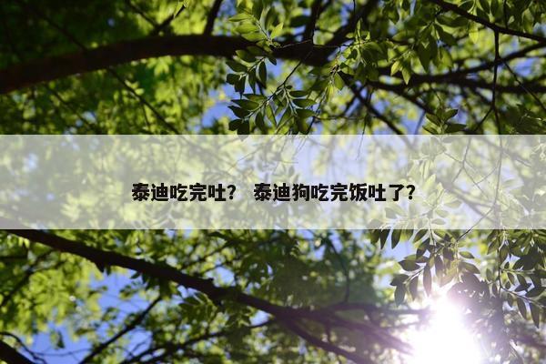 泰迪吃完吐？ 泰迪狗吃完饭吐了？