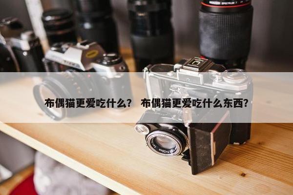 布偶猫更爱吃什么？ 布偶猫更爱吃什么东西？