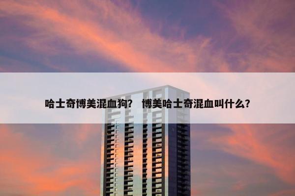 哈士奇博美混血狗？ 博美哈士奇混血叫什么？