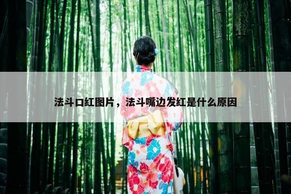 法斗口红图片，法斗嘴边发红是什么原因