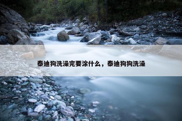 泰迪狗洗澡完要涂什么，泰迪狗狗洗澡