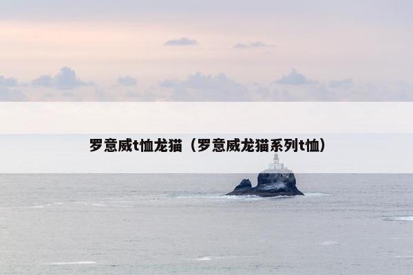 罗意威t恤龙猫（罗意威龙猫系列t恤）