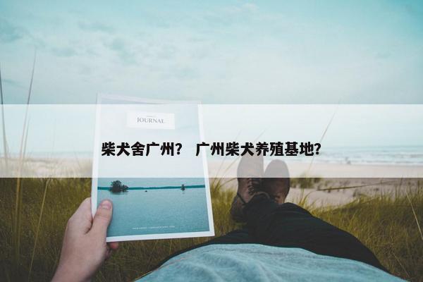 柴犬舍广州？ 广州柴犬养殖基地？