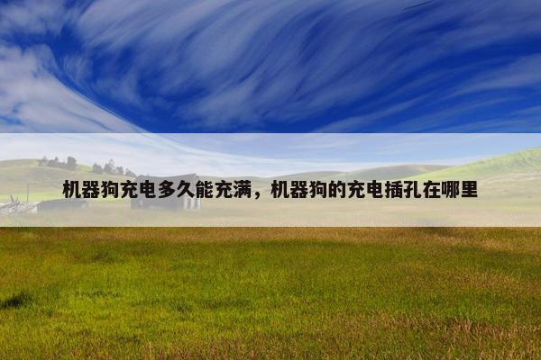 机器狗充电多久能充满，机器狗的充电插孔在哪里
