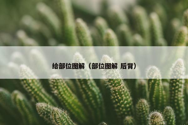 钻石