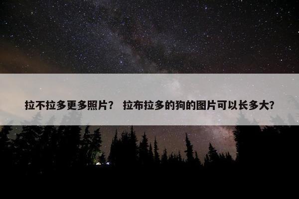拉不拉多更多照片？ 拉布拉多的狗的图片可以长多大？