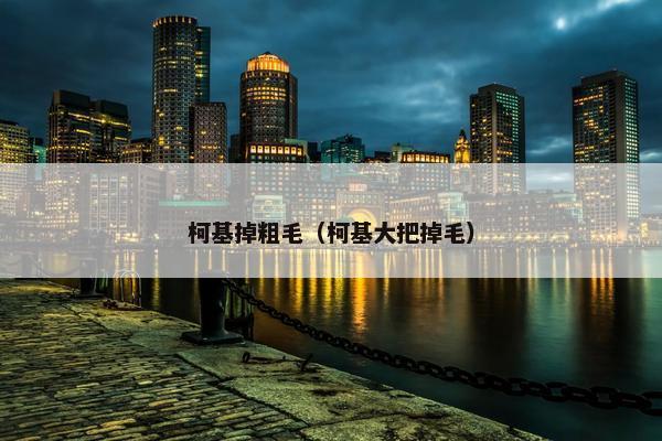 柯基掉粗毛（柯基大把掉毛）