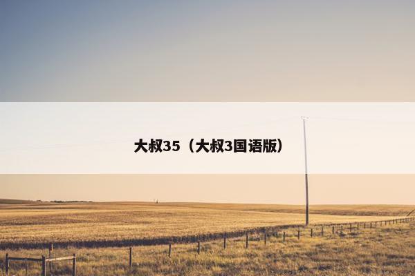 大叔35（大叔3国语版）
