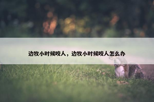 边牧小时候咬人，边牧小时候咬人怎么办