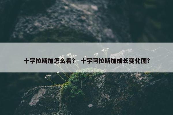沃克