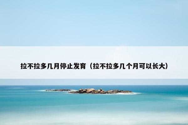 拉不拉多几月停止发育（拉不拉多几个月可以长大）