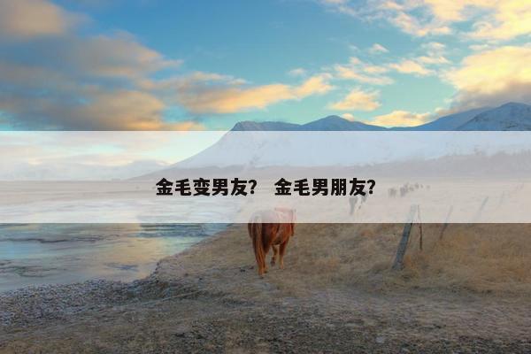 金毛变男友？ 金毛男朋友？