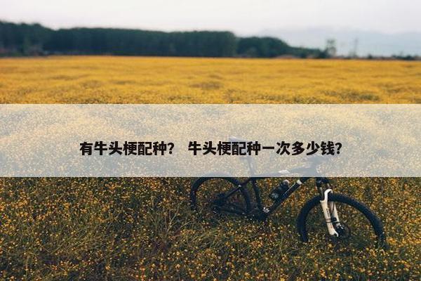 有牛头梗配种？ 牛头梗配种一次多少钱？