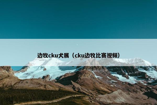 边牧cku犬展（cku边牧比赛视频）