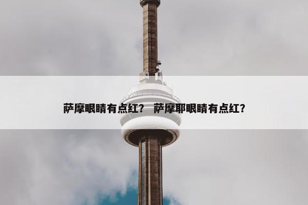 萨摩眼睛有点红？ 萨摩耶眼睛有点红？