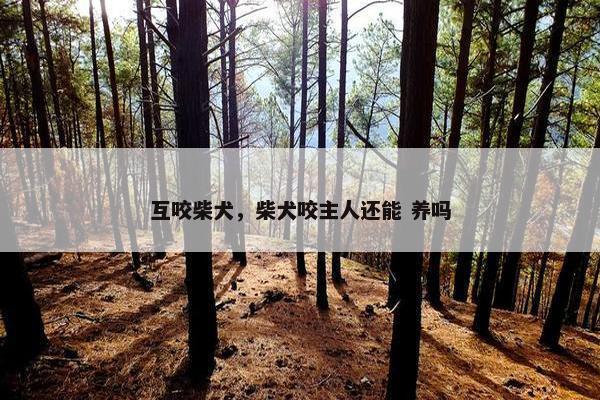 互咬柴犬，柴犬咬主人还能 养吗