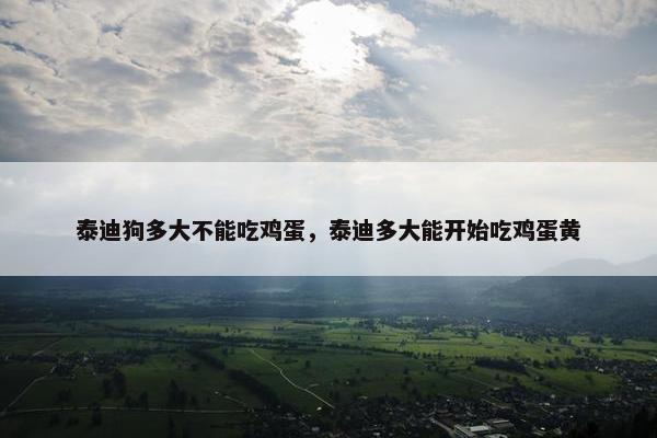 泰迪狗多大不能吃鸡蛋，泰迪多大能开始吃鸡蛋黄