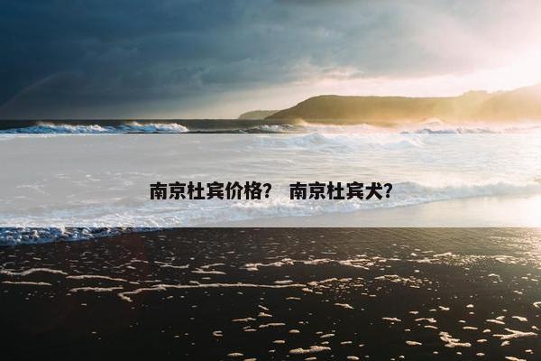 南京杜宾价格？ 南京杜宾犬？