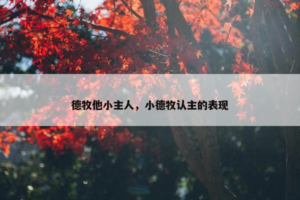 德牧他小主人，小德牧认主的表现