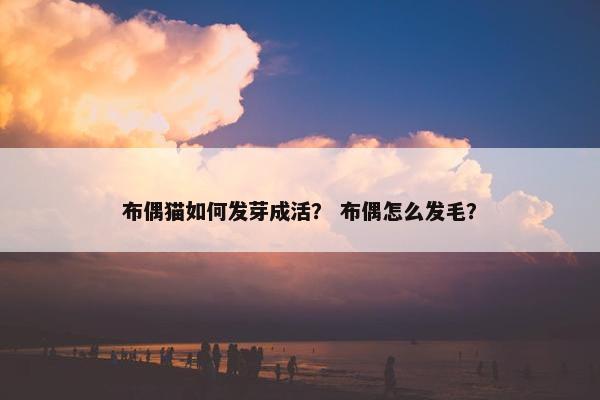 布偶猫如何发芽成活？ 布偶怎么发毛？
