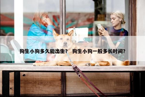 狗生小狗多久能出生？ 狗生小狗一般多长时间？