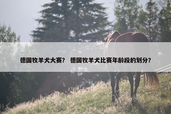 德国牧羊犬大赛？ 德国牧羊犬比赛年龄段的划分？