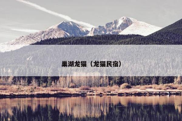 巢湖龙猫（龙猫民宿）