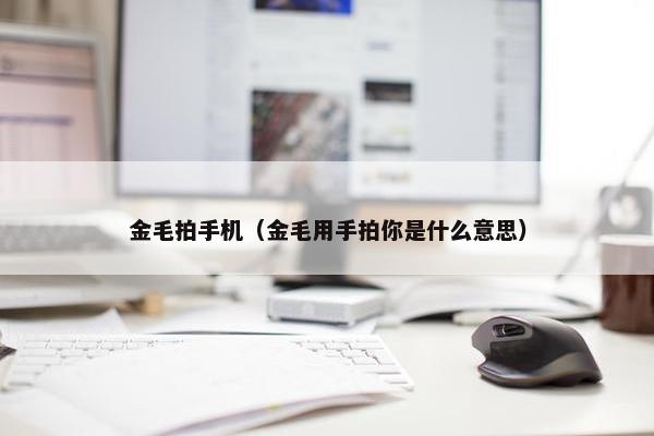 金毛拍手机（金毛用手拍你是什么意思）