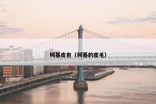 柯基皮包（柯基的皮毛）
