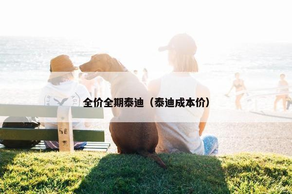 泰迪