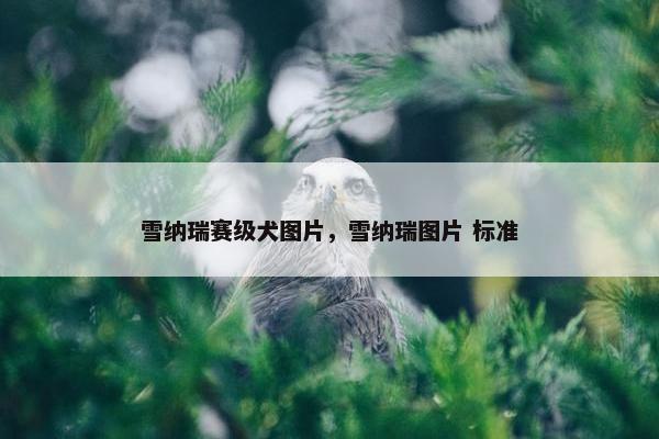 价格