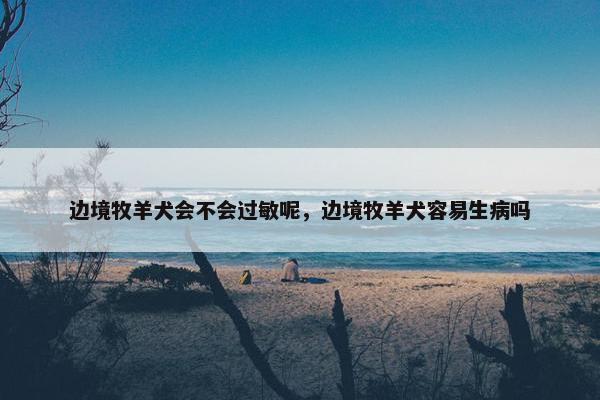 皮肤