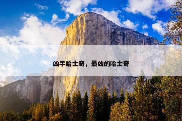 凶手哈士奇，最凶的哈士奇