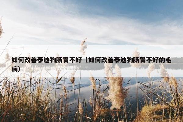 如何改善泰迪狗肠胃不好（如何改善泰迪狗肠胃不好的毛病）