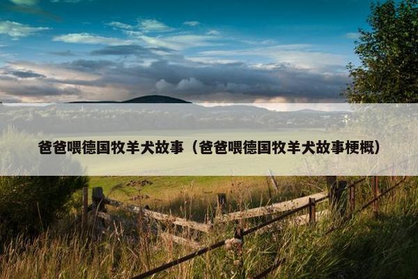 哈桑
