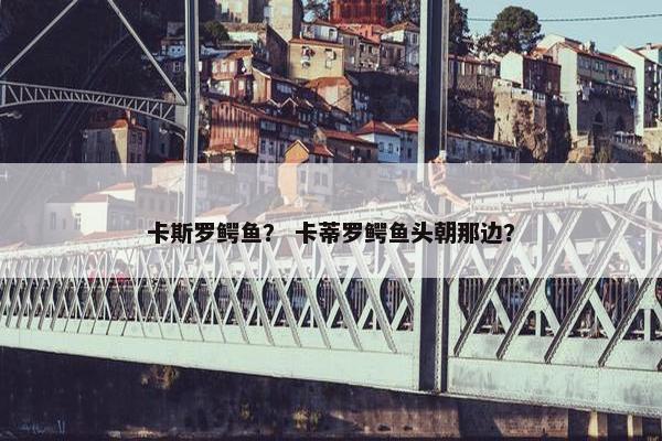 卡斯罗鳄鱼？ 卡蒂罗鳄鱼头朝那边？