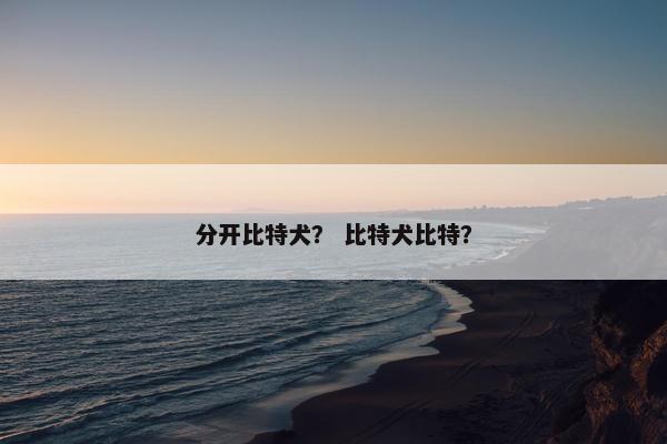 分开比特犬？ 比特犬比特？