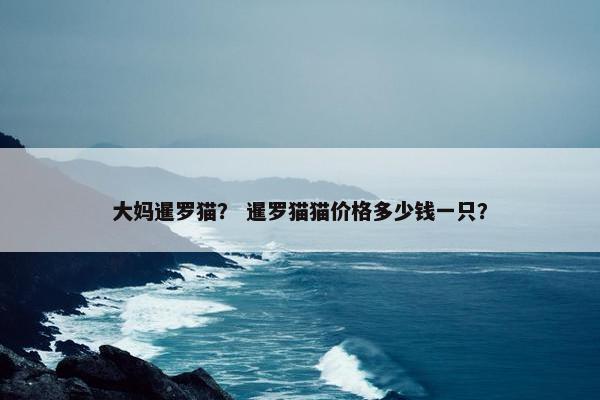 大妈暹罗猫？ 暹罗猫猫价格多少钱一只？