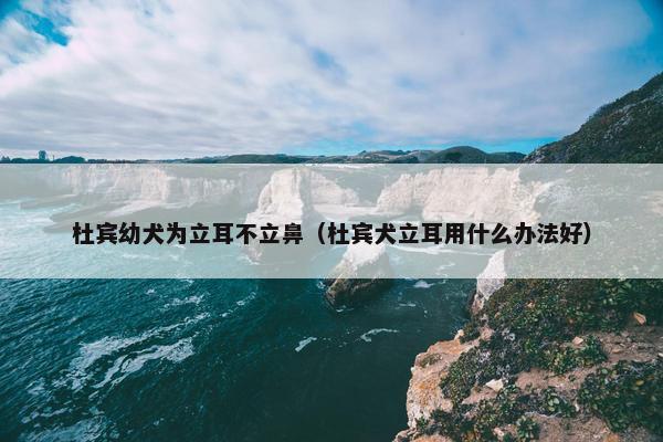 杜宾幼犬为立耳不立鼻（杜宾犬立耳用什么办法好）