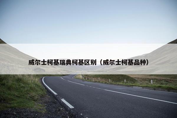 威尔士柯基瑞典柯基区别（威尔士柯基品种）