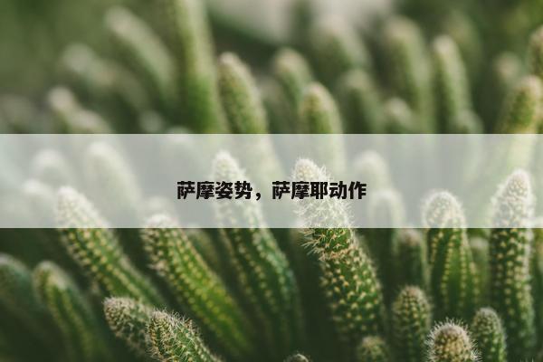 萨摩姿势，萨摩耶动作