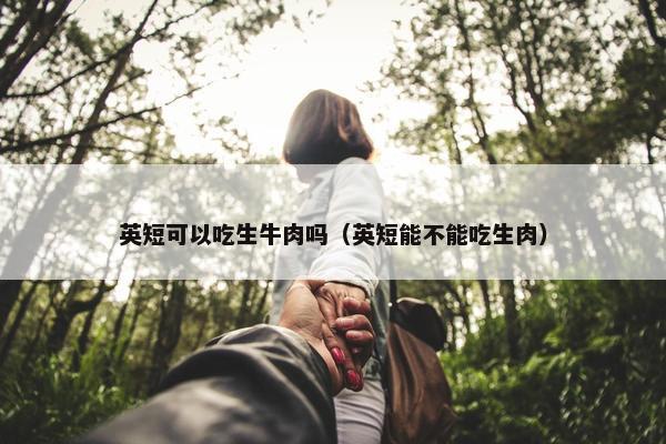 英短可以吃生牛肉吗（英短能不能吃生肉）