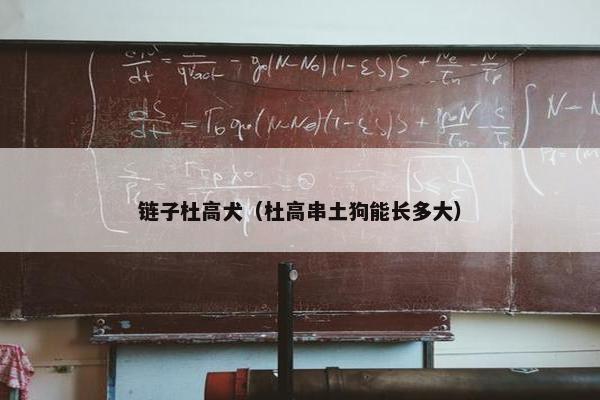 链子杜高犬（杜高串土狗能长多大）