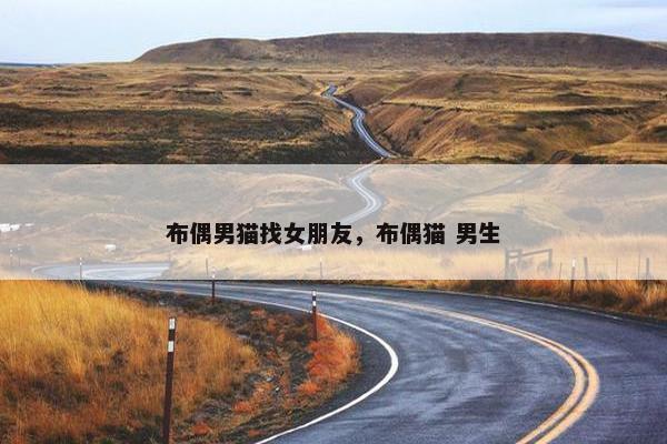 布偶男猫找女朋友，布偶猫 男生