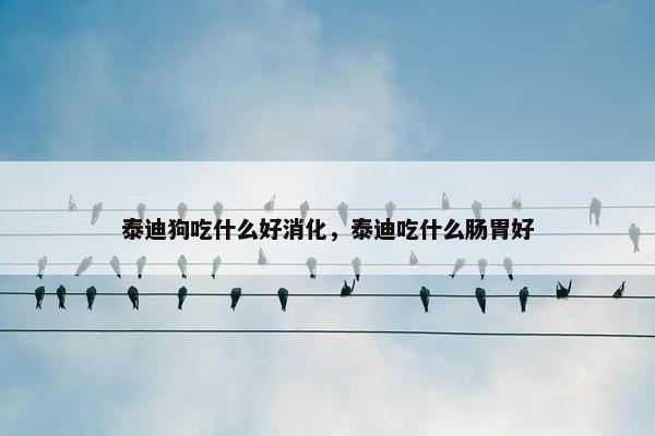 泰迪狗吃什么好消化，泰迪吃什么肠胃好
