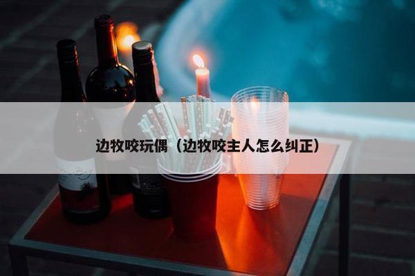 边牧咬玩偶（边牧咬主人怎么纠正）