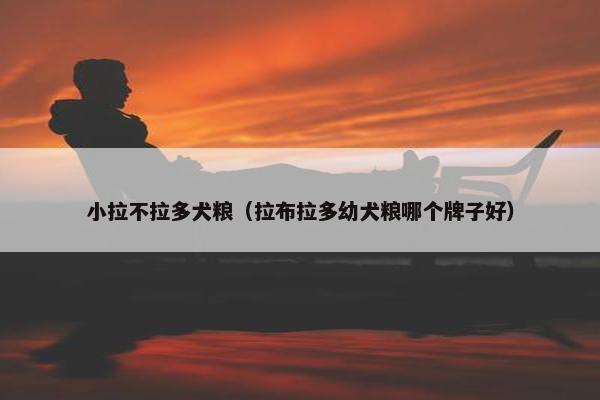 小拉不拉多犬粮（拉布拉多幼犬粮哪个牌子好）