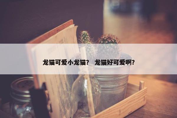 龙猫可爱小龙猫？ 龙猫好可爱啊？